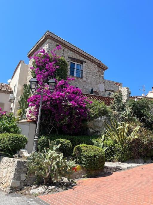Strelizia - New Central Old Antibes For 4 Ac Kültér fotó