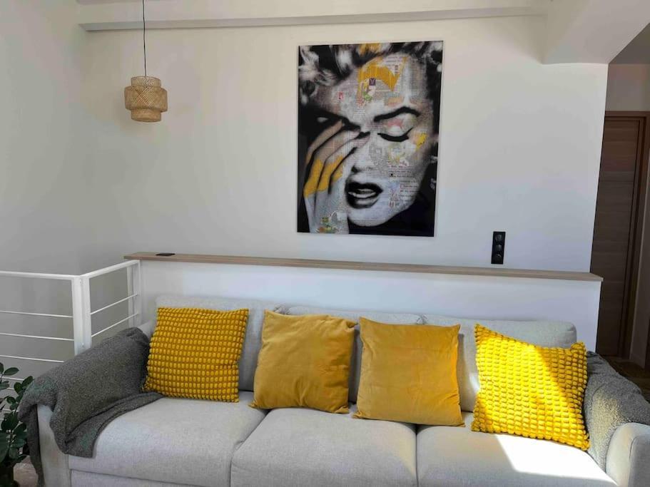 Strelizia - New Central Old Antibes For 4 Ac Kültér fotó