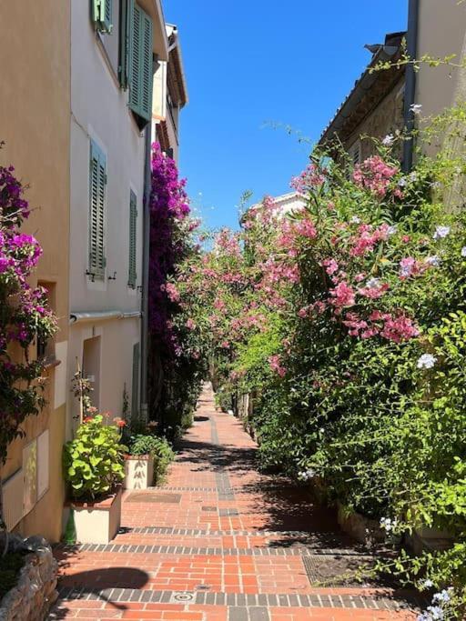 Strelizia - New Central Old Antibes For 4 Ac Kültér fotó