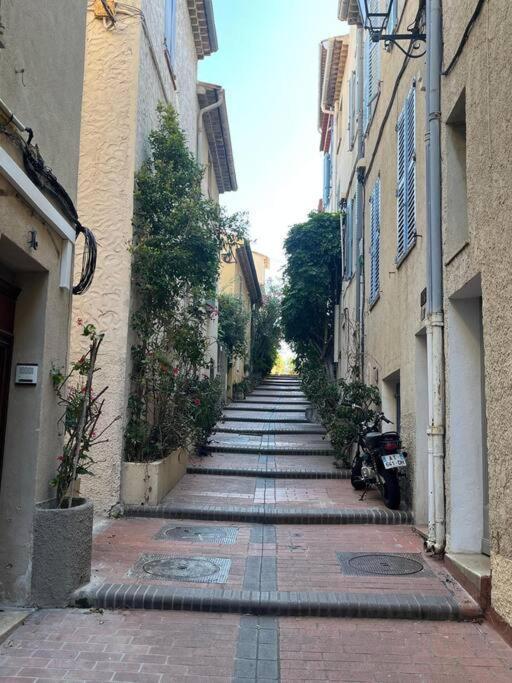 Strelizia - New Central Old Antibes For 4 Ac Kültér fotó